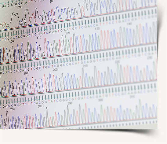 chromosome screening